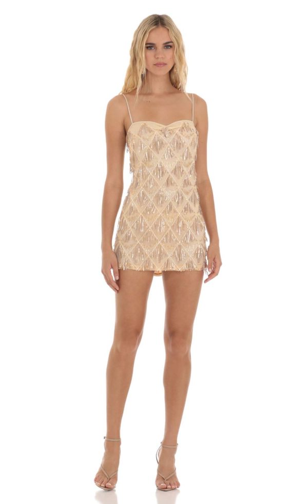 Sequin Fringe Dress in Champagne