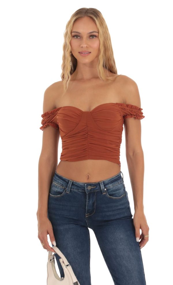 Mesh Off Shoulder Top in Rust